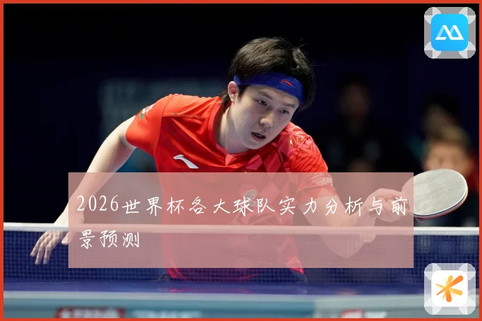 2026世界杯各大球队实力分析与前景预测