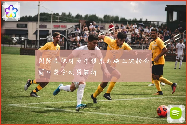 国际足联对海牛俱乐部施三次转会窗口禁令处罚解析