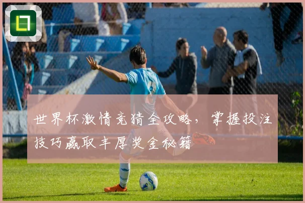 世界杯激情竞猜全攻略，掌握投注技巧赢取丰厚奖金秘籍