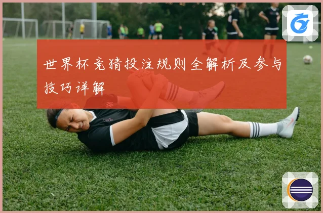 世界杯竞猜投注规则全解析及参与技巧详解