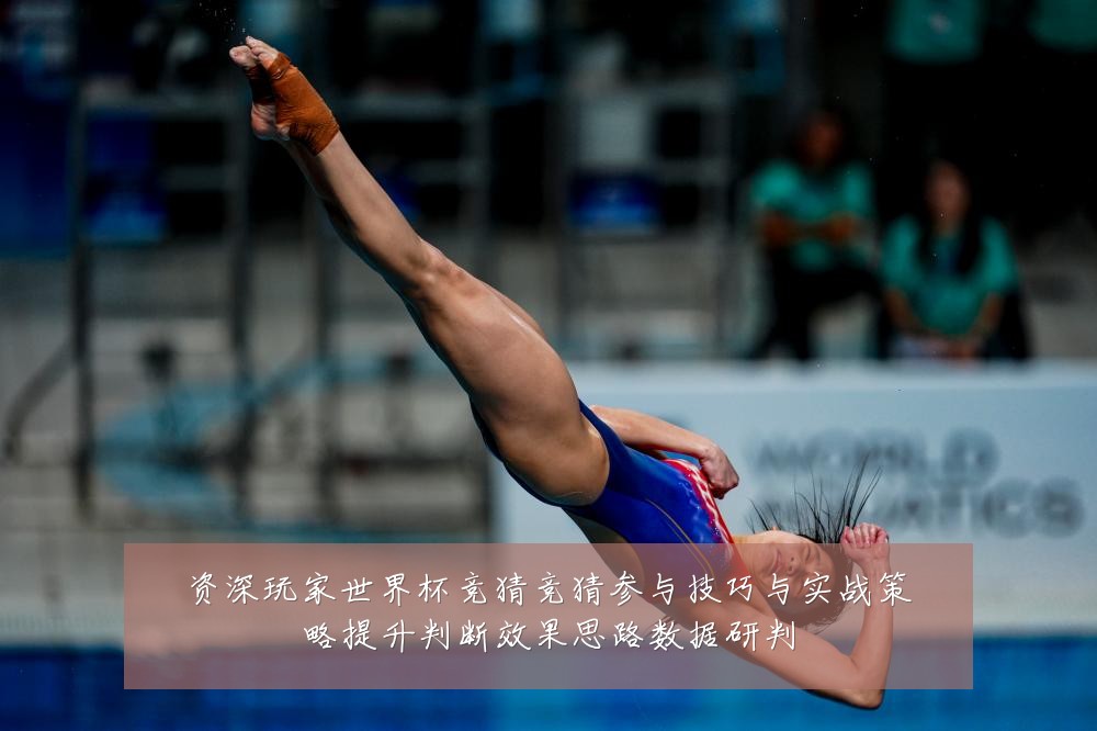 资深玩家世界杯竞猜竞猜参与技巧与实战策略提升判断效果思路数据研判