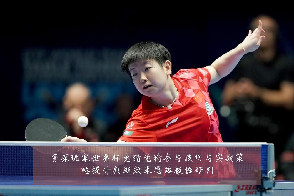 资深玩家世界杯竞猜竞猜参与技巧与实战策略提升判断效果思路数据研判